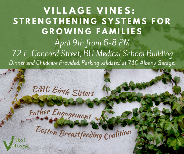 Village Vines: Strengthening Systems for Growing Families