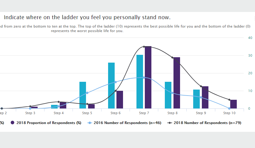 Hope and Wellbeing Data (2016-2018) 