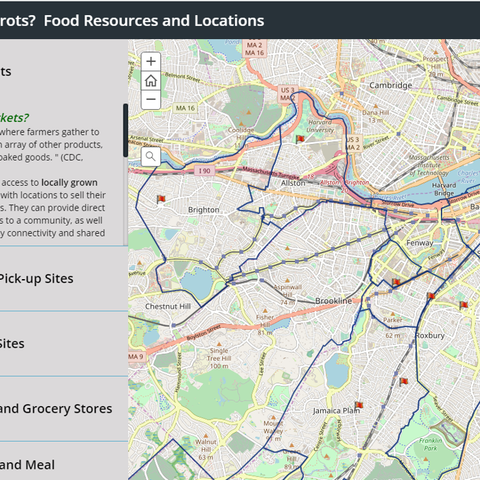 Food Access in Boston